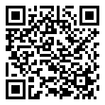 QR-Code - Logo - Fastgaming